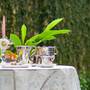 Горящие туры в отель Eurana Boutique Hotel  - 3