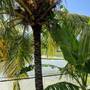 Горящие туры в отель Villa Agung Beach Inn - 4