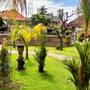 Горящие туры в отель Bayu Mantra Bungalows  - 1