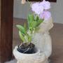 Горящие туры в отель Ban Tai River Garden  - 4