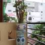 Горящие туры в отель Phong Lan Guesthouse  - 5