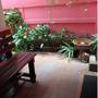 Горящие туры в отель Bow Chiangmai House  - 2