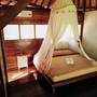 Горящие туры в отель Rhipidura Bungalows  - 6