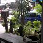 Горящие туры в отель Cumpun Guest House  - 6