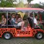 Горящие туры в отель Dolphin Beach Bali - 3