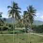 Горящие туры в отель Amarin Samui Hotel - 2