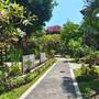 Горящие туры в отель Lovina Beach Hotel - 5