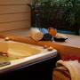 Горящие туры в отель Maninarakorn Hotel - 1