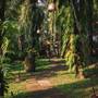 Горящие туры в отель The Arsana Estate  - 5