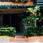 Горящие туры в отель Sabina Guesthouse - 1