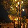 Горящие туры в отель Prai Nurn Resort  - 2