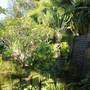 Горящие туры в отель Villa Constance  - 5