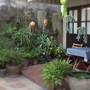 Горящие туры в отель Tara Guesthouse  - 2