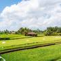 Горящие туры в отель Mathis Retreat - 5