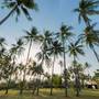Горящие туры в отель Villa Sapi - an elite haven - 4