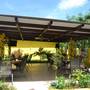 Горящие туры в отель Malapascua Garden Resort  - 5