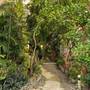Горящие туры в отель Marcosas Cottages Resort  - 2