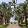 Горящие туры в отель Ocean Jewels Resort - 5