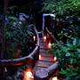 Горящие туры в отель Alta Cebu Resort - 4