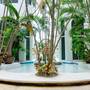 Горящие туры в отель The Royal Palms by BRIC - 3