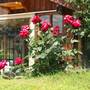 Горящие туры в отель Ampelokipi Holiday Apartments - 6
