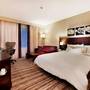 Горящие туры в отель Hilton Garden Inn Sanliurfa - 2