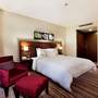 Горящие туры в отель Hilton Garden Inn Sanliurfa - 1