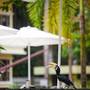 Горящие туры в отель Anjungan Beach Resort & Spa - 5