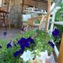 Горящие туры в отель Munevver Abla Guesthouse - 4