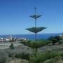 Горящие туры в отель Kapsalia Holiday Villas - 5