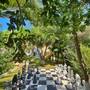 Горящие туры в отель Golden Lighthouse Hotel - 5
