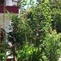 Горящие туры в отель Adrasan Gelidonya Hotel - 5