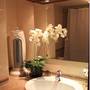 Горящие туры в отель River Beach Apartments - 2