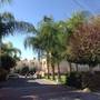Горящие туры в отель Santa Barbara Complex - 4