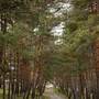 Горящие туры в отель Hotel Dilijan Resort - 4