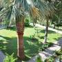Горящие туры в отель Ilkiz Beach Hotel - 6