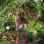 Горящие туры в отель Les Lataniers Bleus - Villas & Guest House - 4