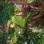 Горящие туры в отель Les Lataniers Bleus - Villas & Guest House - 1