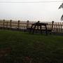 Горящие туры в отель Misty Hills Boutique Cottage - 1