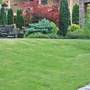 Горящие туры в отель Cvetni Konaci Hotel - 2
