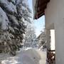 Горящие туры в отель Apartments Rasadnik - 4