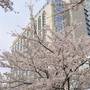 Горящие туры в отель Grand Hyatt Tokyo - 1