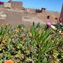 Горящие туры в отель Riad Dar El Nath - 1