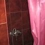 Горящие туры в отель Guest House Lali - 5
