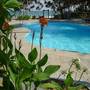 Горящие туры в отель Good Karma Hotel, Rekawa Beach - 1