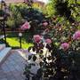 Горящие туры в отель Oran Apart Hotel - 3