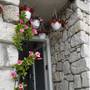 Горящие туры в отель Narcicegi Hotel - 3