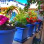 Горящие туры в отель Beyaz Ev Hotel - 5