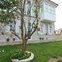 Горящие туры в отель Aleysim Hotel - 6