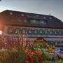 Горящие туры в отель Hotel Vitranc - 6